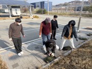 봄 맞이 봄꽃 심기 현장 사진